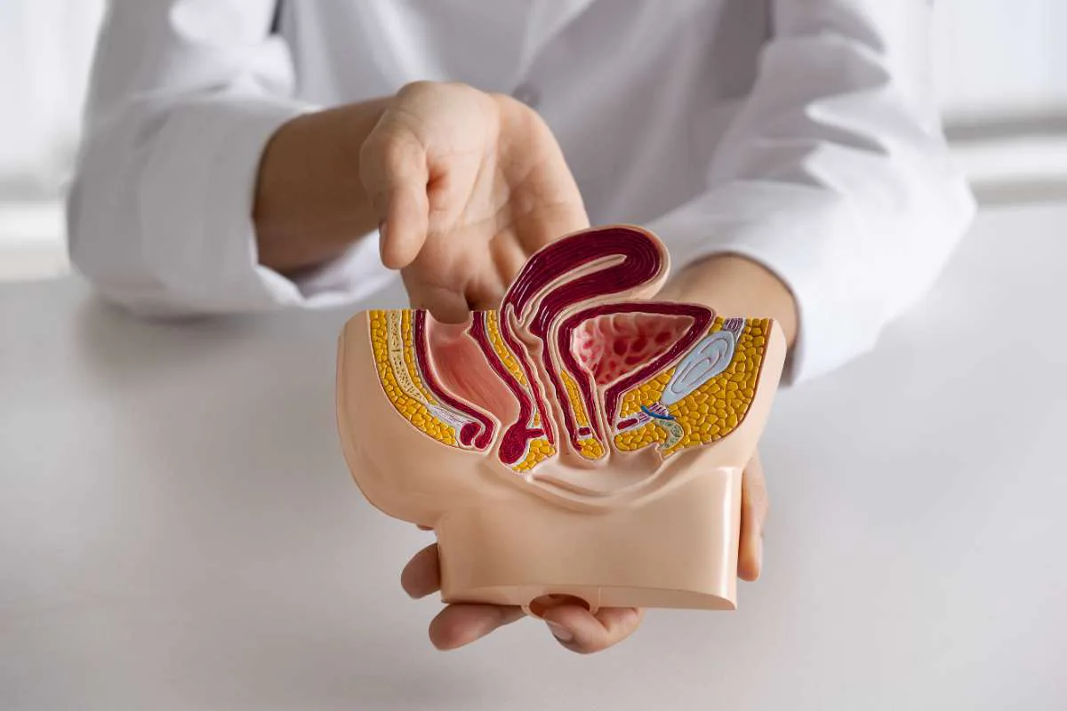 Prostate surgery consultation and evaluation